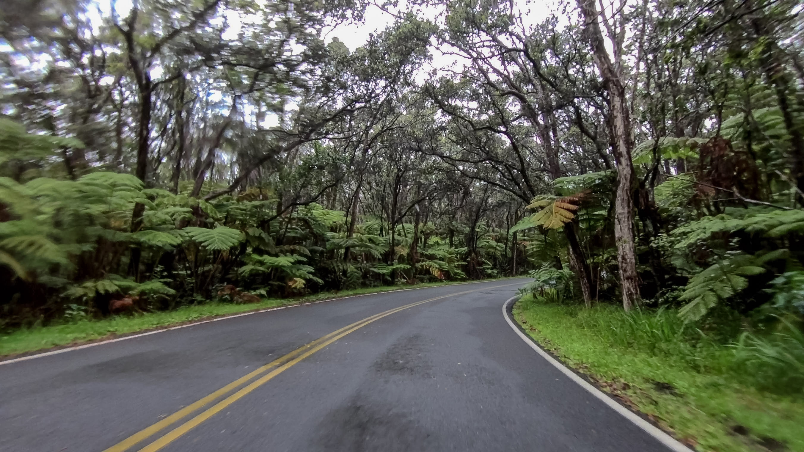 okauku-hawaii-vulcanoes-nationalpark-road.jpg